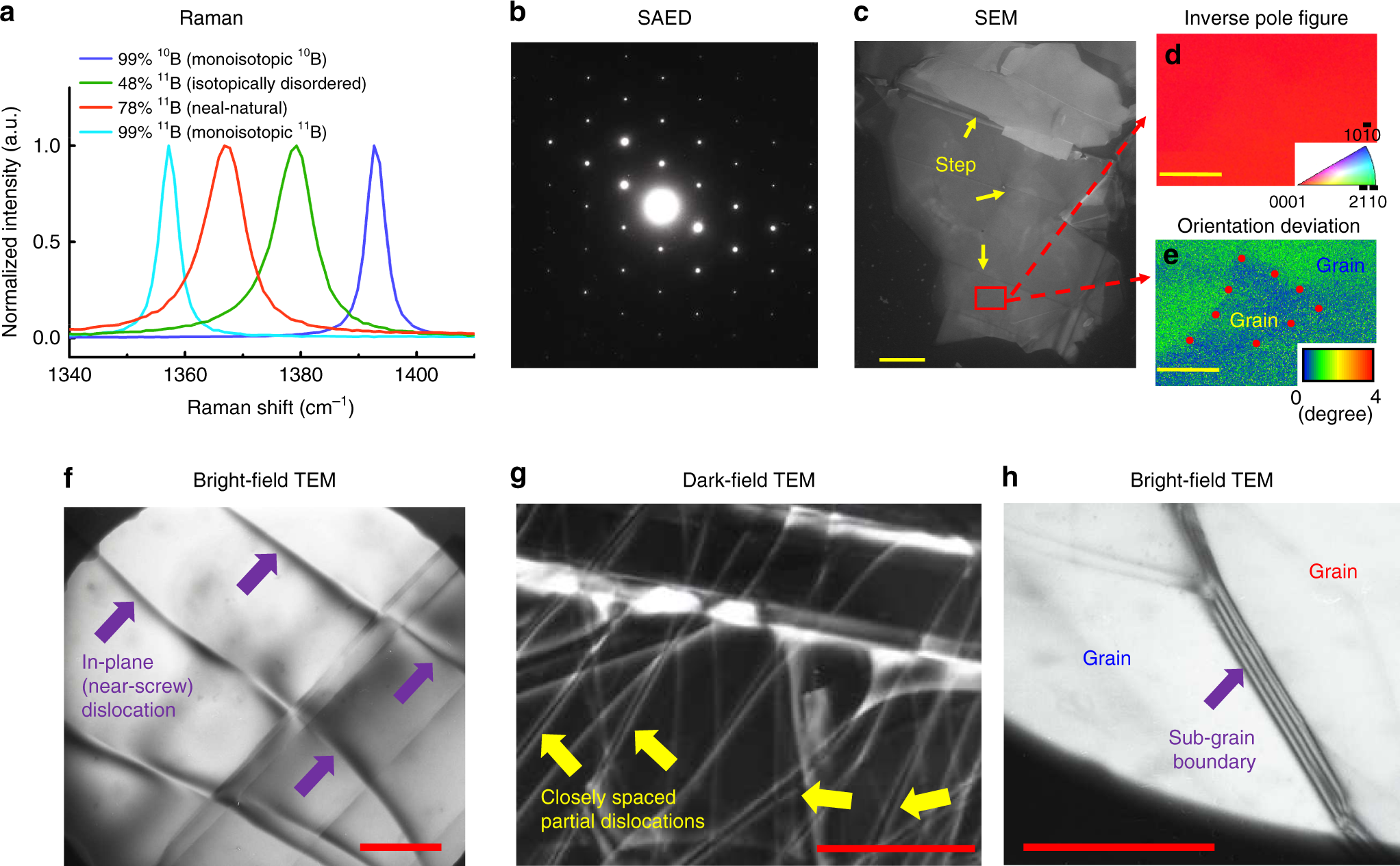 Modulating The Thermal Conductivity In Hexagonal Boron