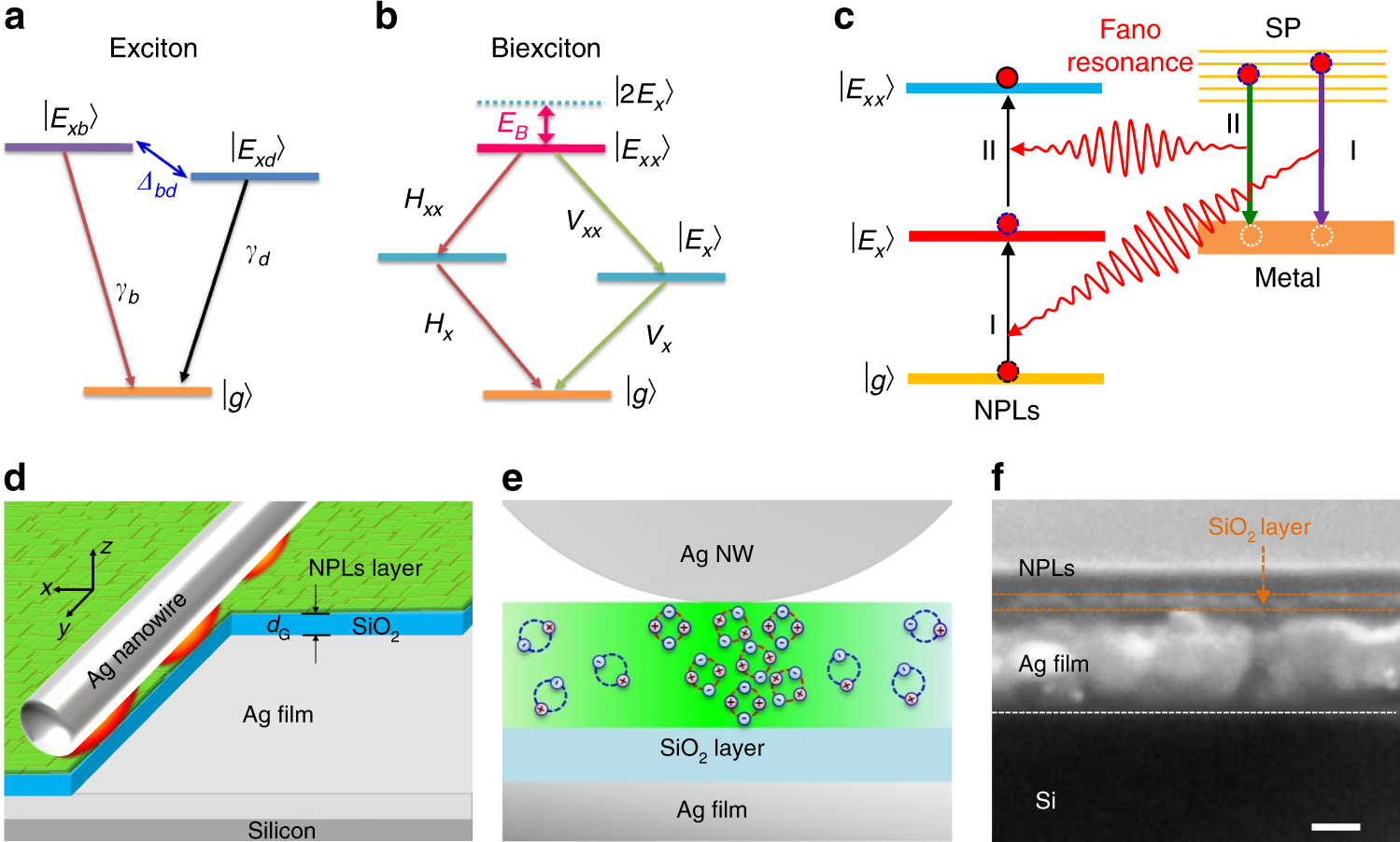 Sub-Single-Exciton Optical Gain in Lead Halide Perovskite Quantum Dots  Revealed by Exciton Polarization Spectroscopy