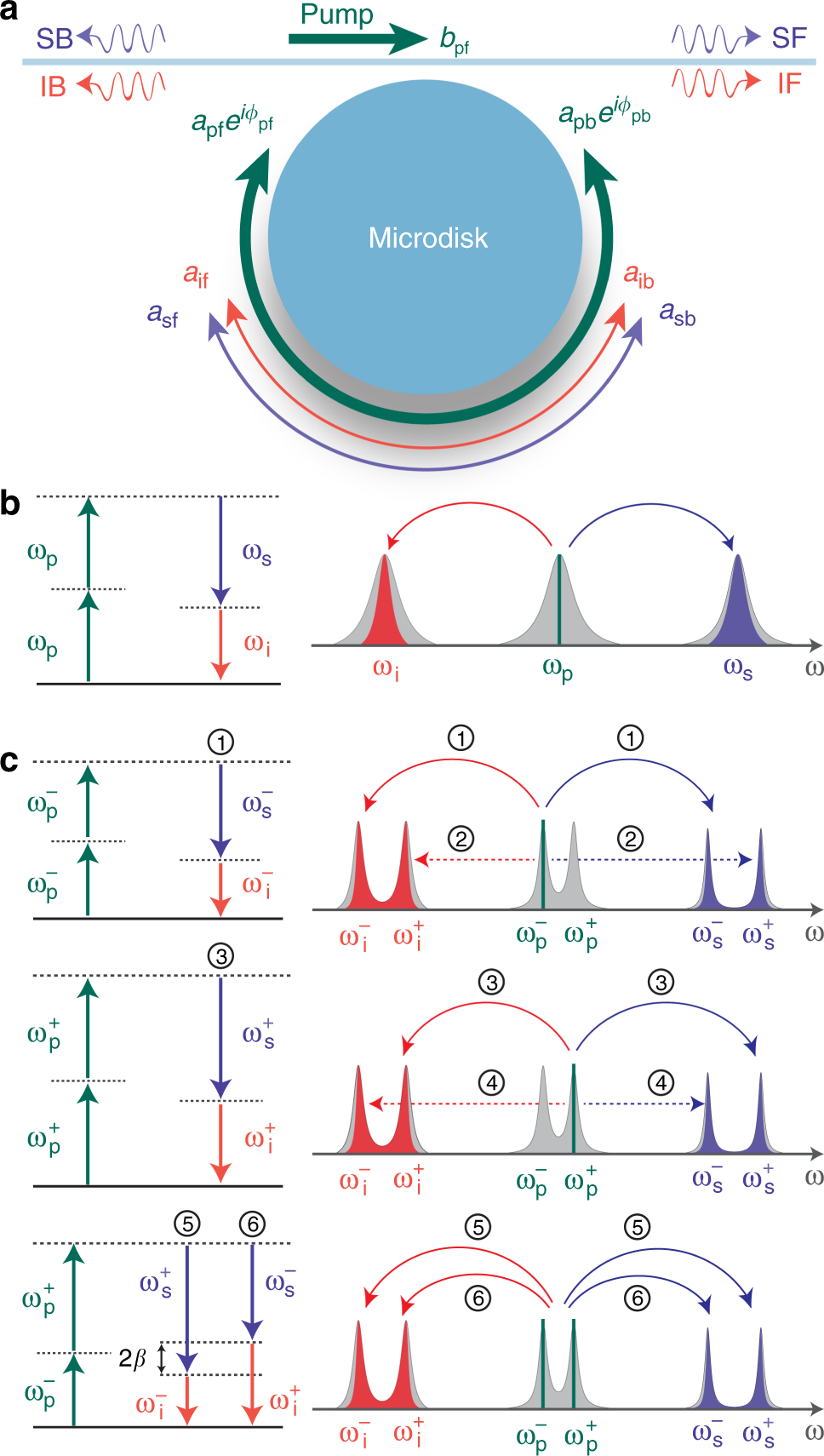 Coherent quantum dynamics of systems with coupling-induced creation  pathways | Communications Physics