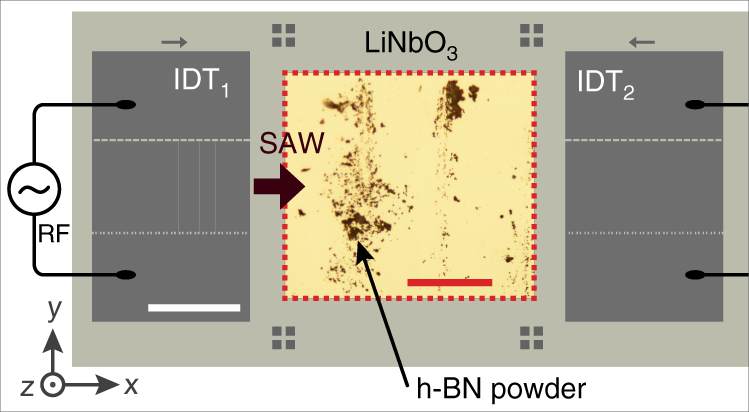 Dynamically Tuned Non Classical Light Emission From Atomic