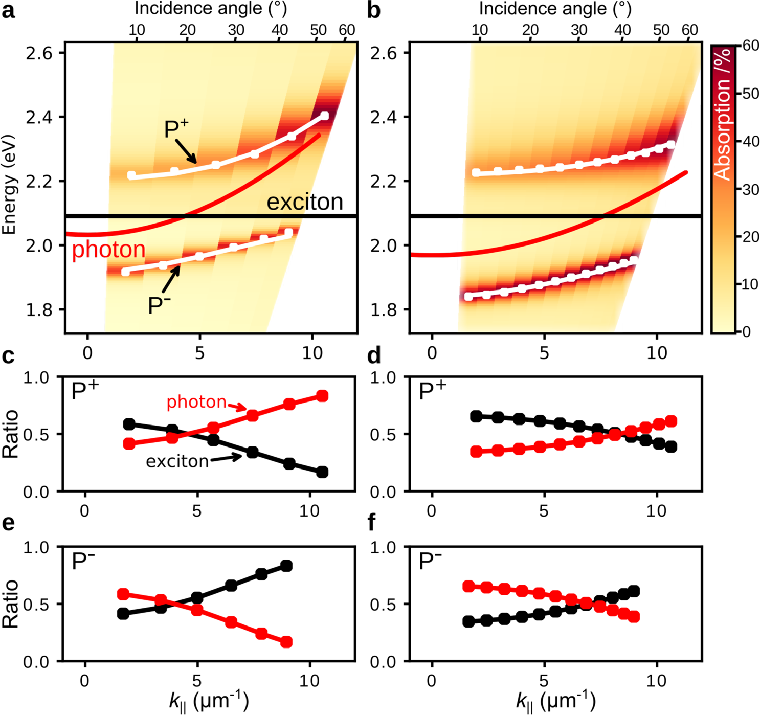 Fig. 2: Steady-state optical properties of the studied systems.