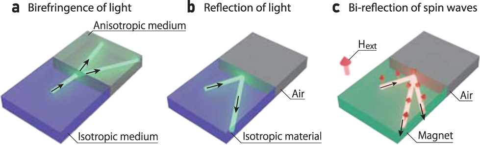 Bi-reflection of spin waves