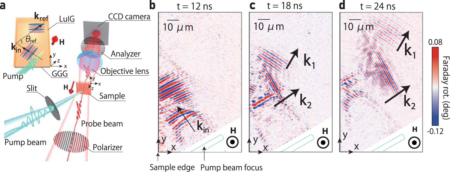Fig. 2: Experimental setup and time-resolved magneto-optical images of the reflection dynamics.