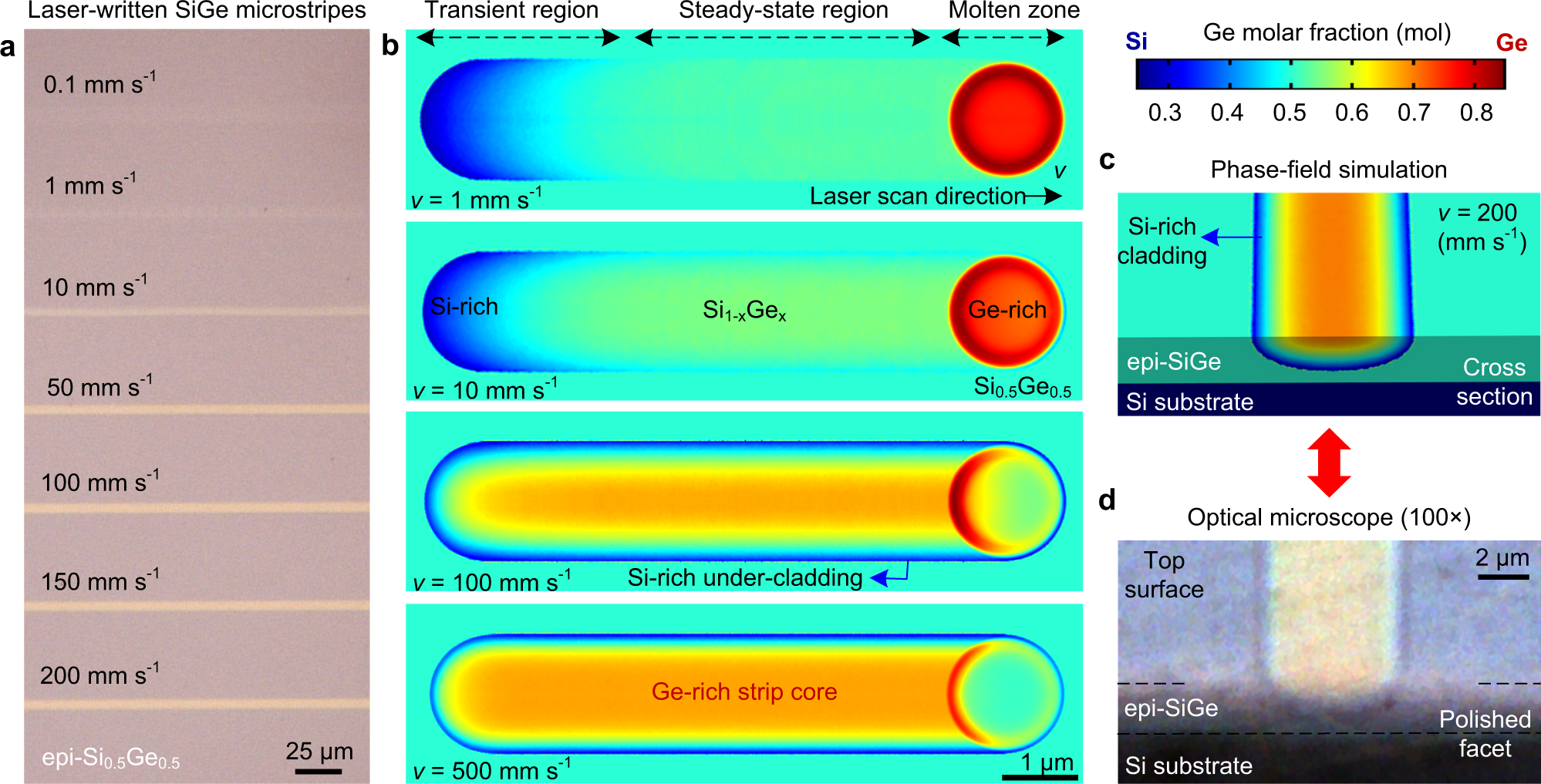 Non-isothermal phase-field simulations of laser-written in-plane SiGe  heterostructures for photonic applications | Communications Physics