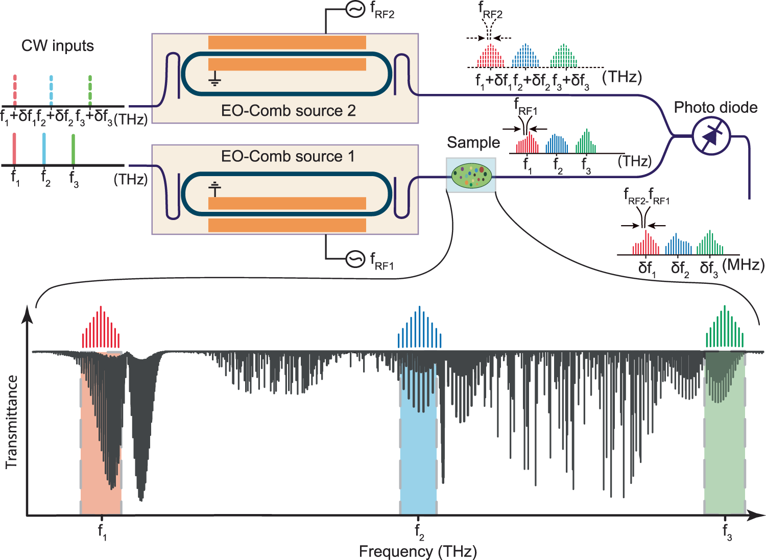 Fig. 1: Spectrally-tailored dual-comb spectroscopy with microring electro-optic (EO) frequency combs.