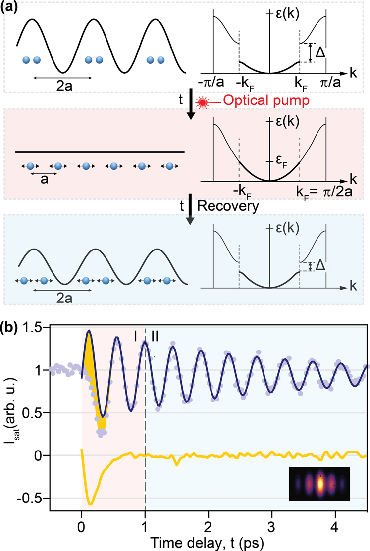 Fig. 1: Time-resolved measurement of the electronic order formation in presence of acoustic phonons.