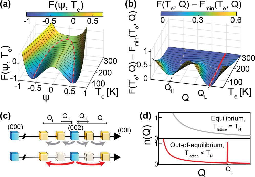 Fig. 3: Landau model of the electronic order parameter and its ordering wavevector.