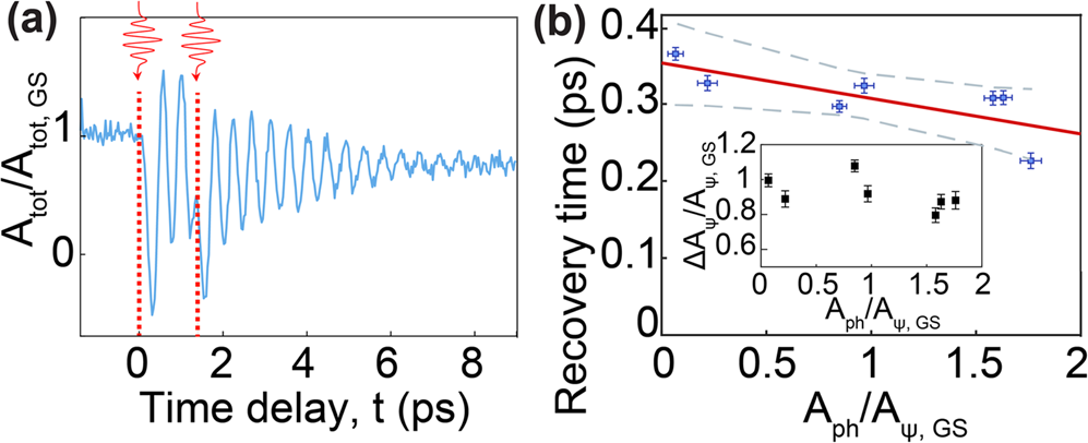 Fig. 4: Testing the hypothesis of the phonon-assisted electronic order formation by using two pump-pulses.