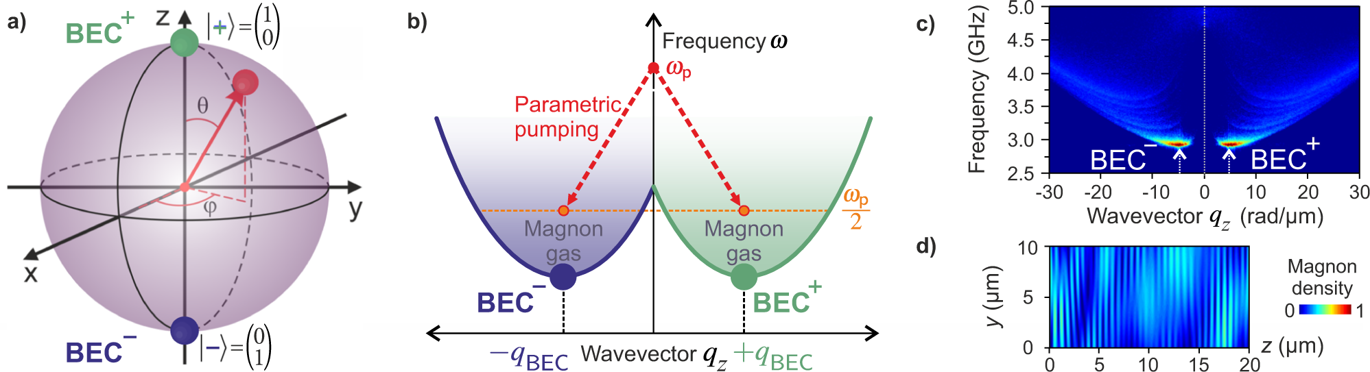 Classical Analog Of Qubit Logic Based On A Magnon Bose Einstein Condensate Communications Physics