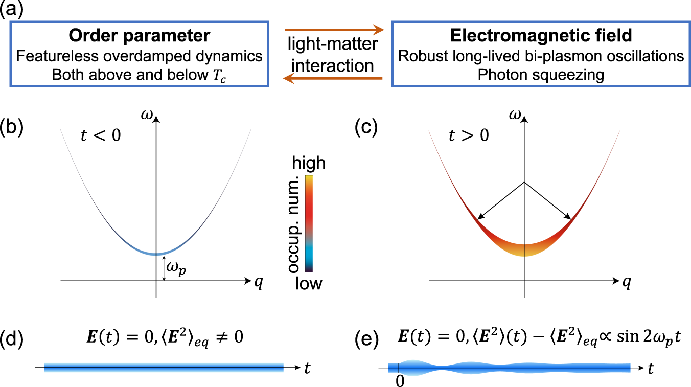 Fig. 1: Summary of the main results.