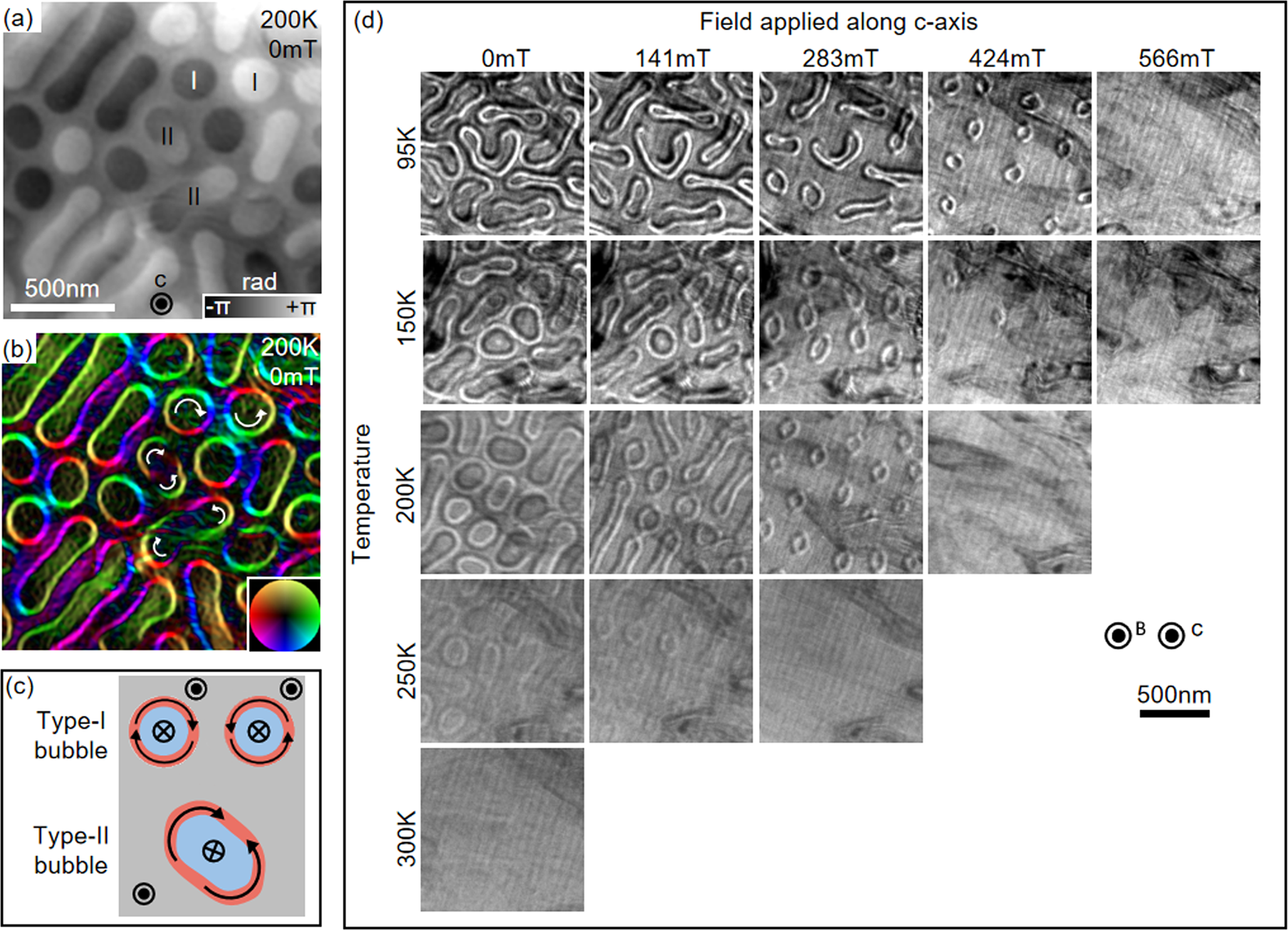 Fig. 2: Magnetic imaging of Fe5GeTe2 in the pre-cooling phase, revealing skyrmionic spin structures.