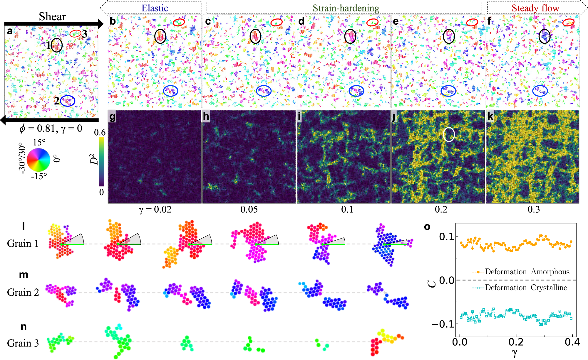 Fig. 4: Shear-induced deformations at packing fraction ϕ = 0.81 with 50% soft particles.