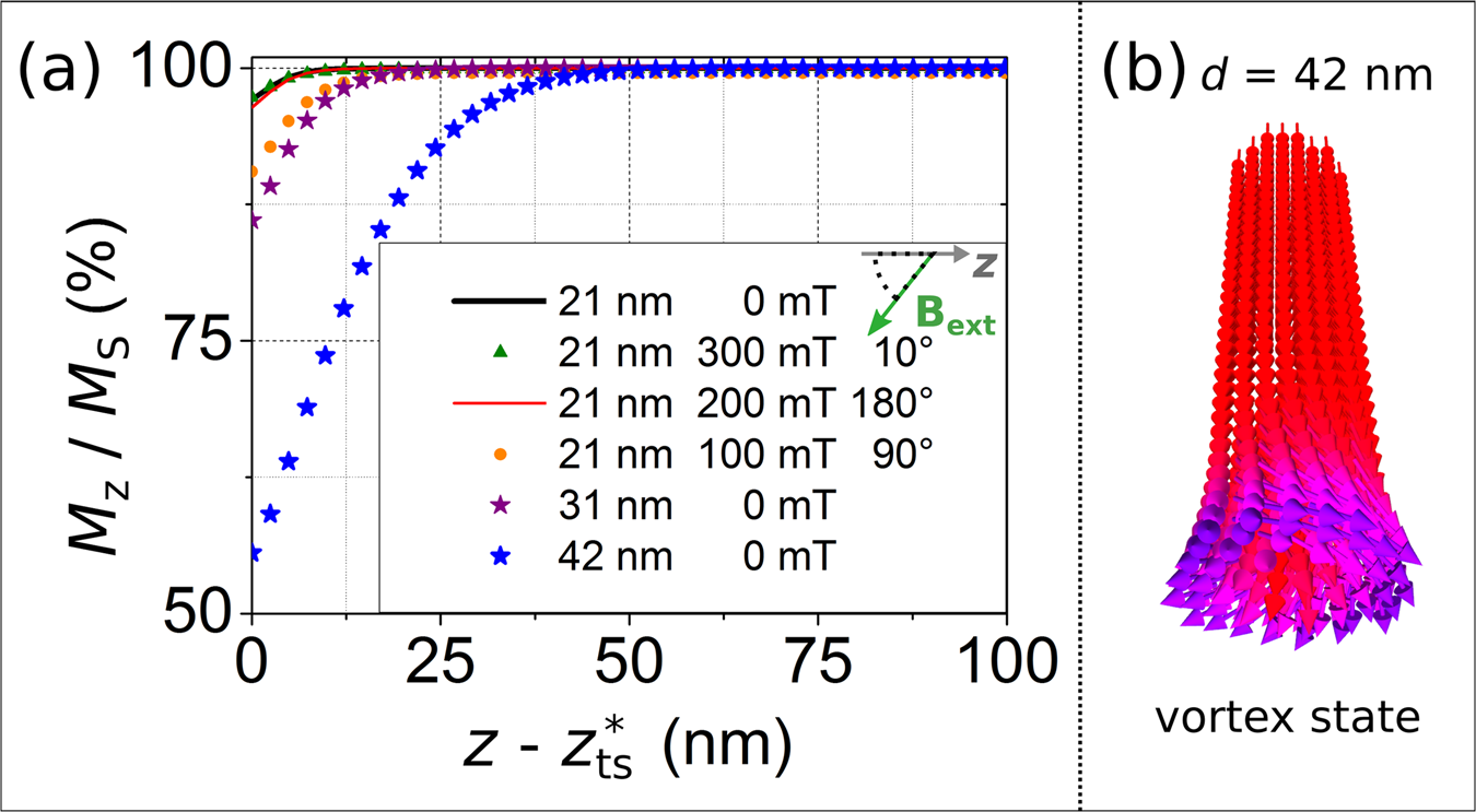 Fig. 5: Micromagnetic simulations of the internal iron nanowire magnetization.