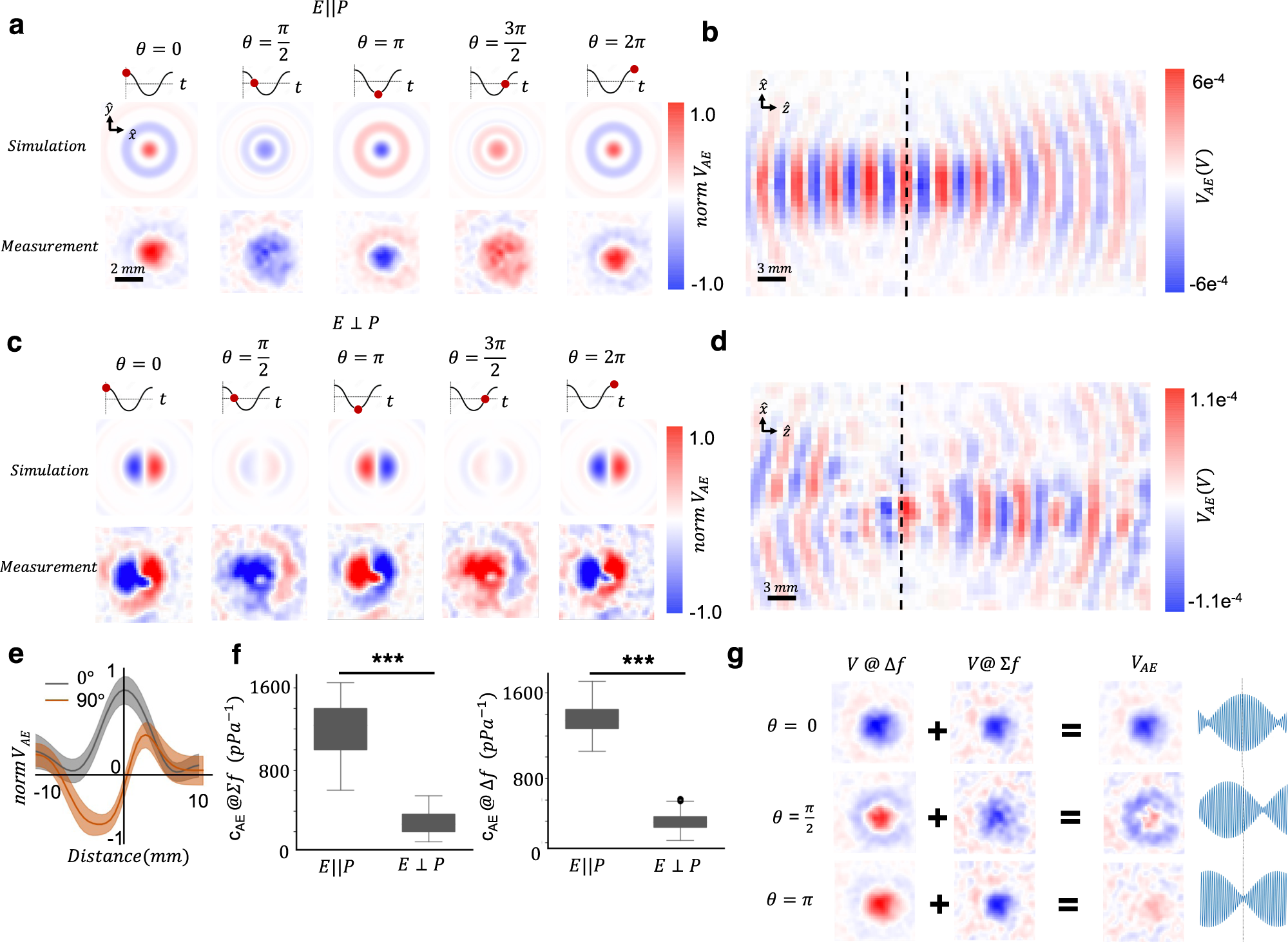 Fig. 4: Measurements of acoustoelectric fields’ spatiotemporal characteristics in a physiological phantom.