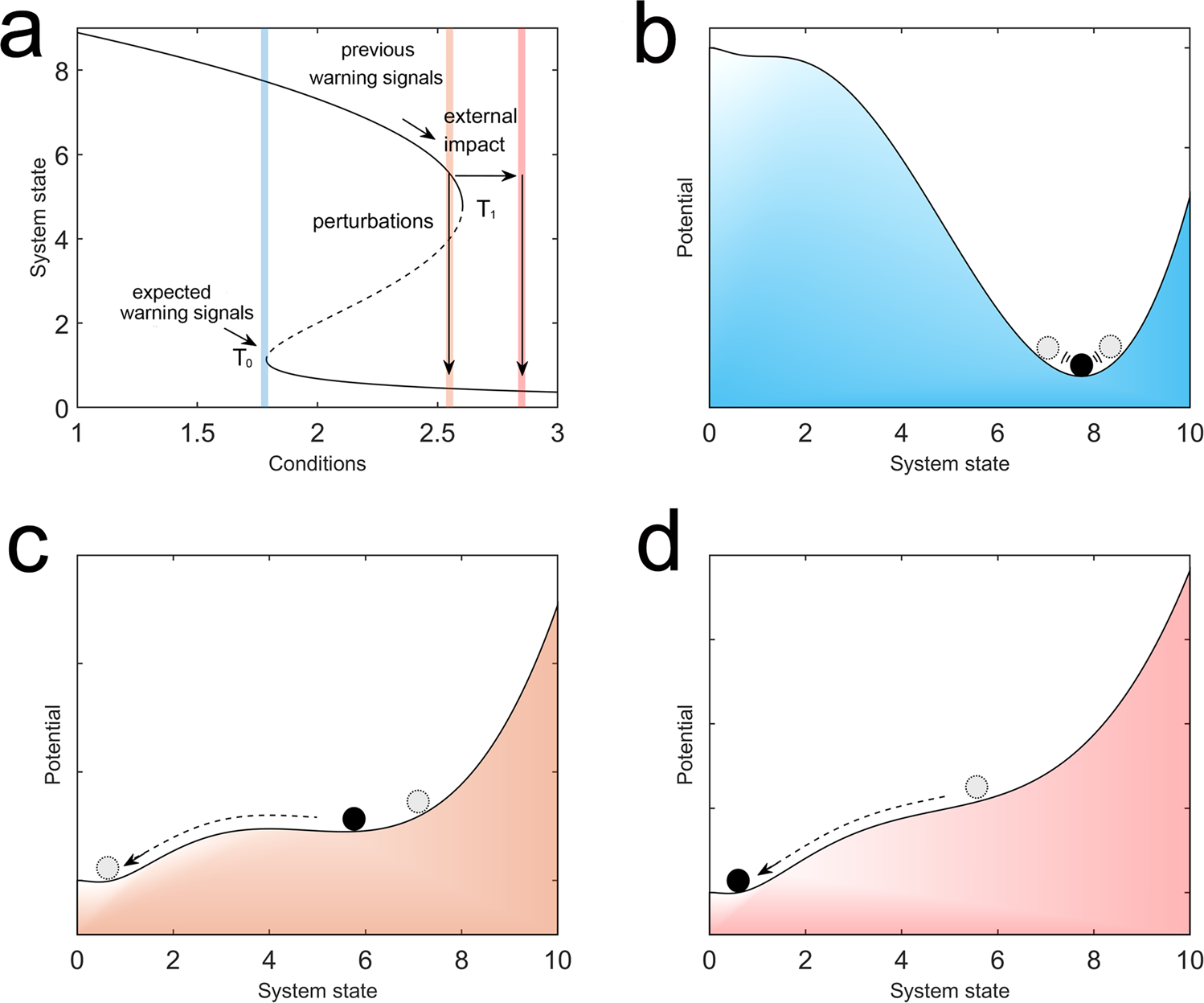 Solved Notice that a steeper curve on the graph corresponds