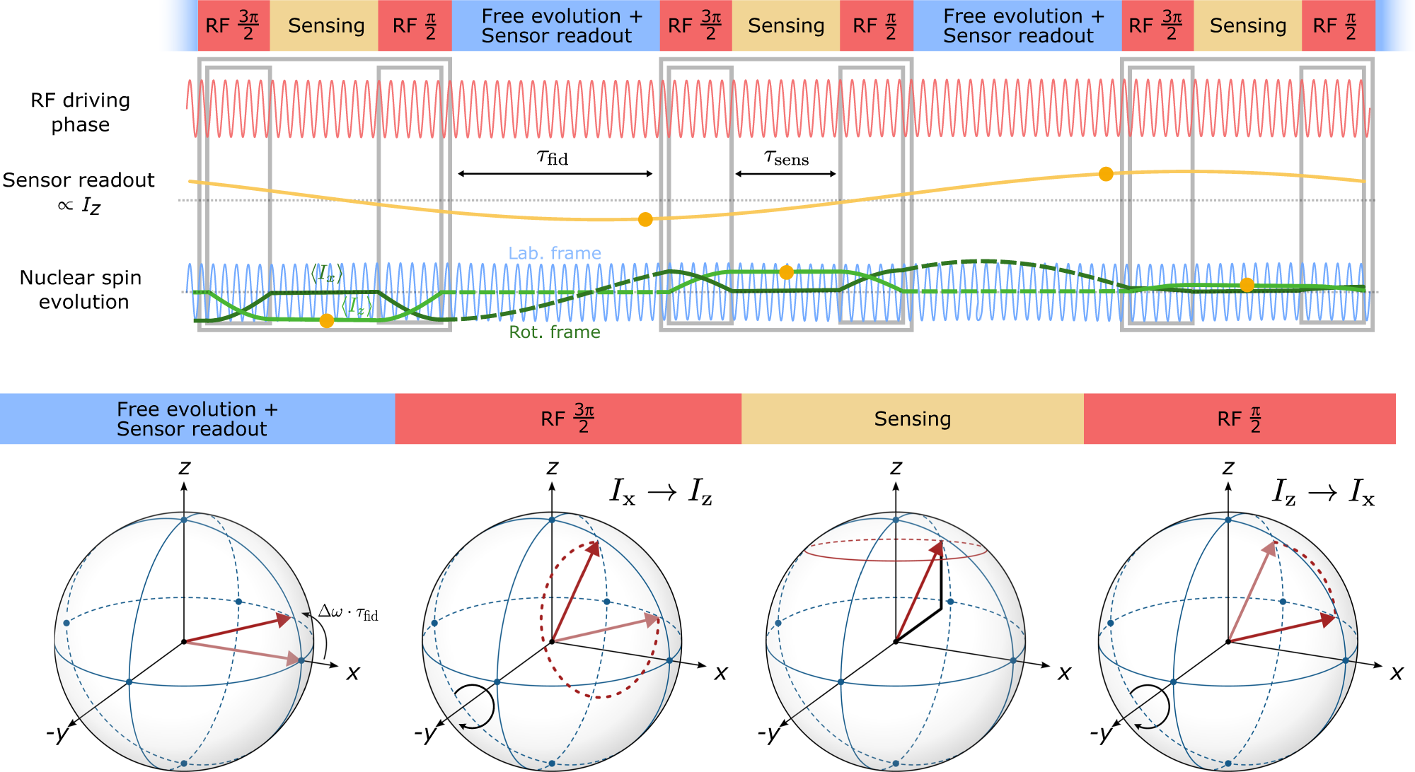 Fig. 2: Phase evolution of the target spin during the measurement.