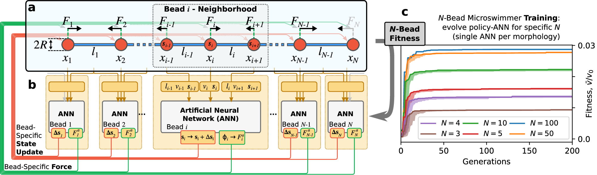 Fig. 1: Neuroevolution of decentralized decision-making in N-bead swimmers.