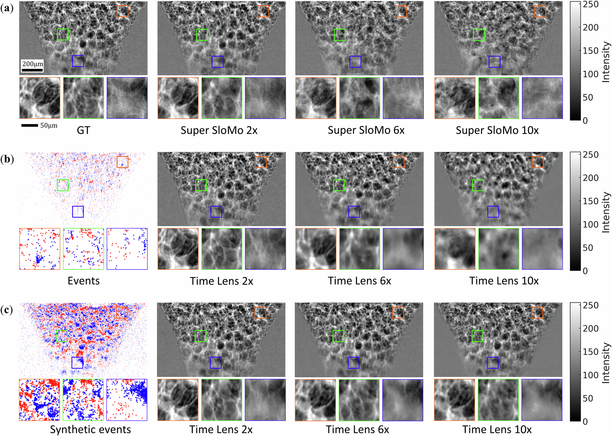 Fig. 3: Comparison of the interpolated frames.