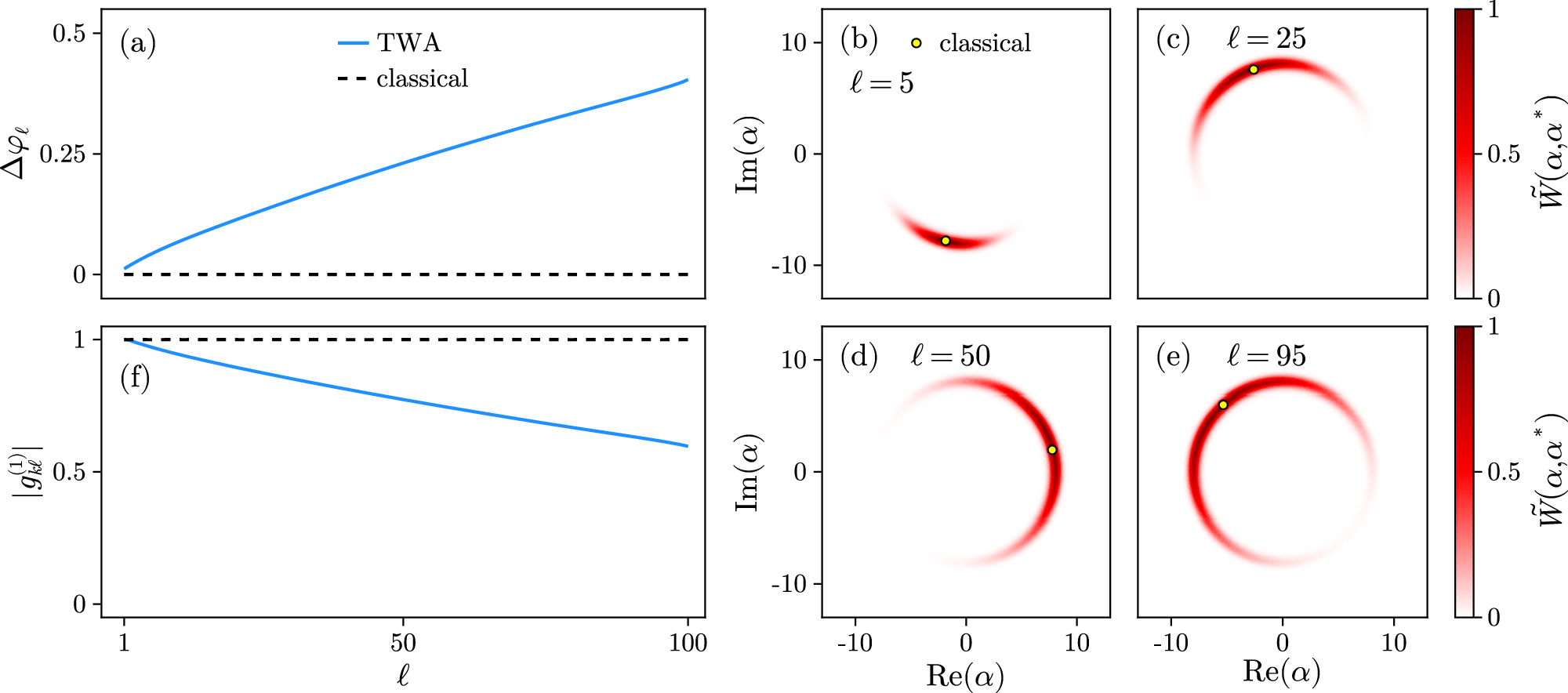 Fig. 6: RNW regime: phase decoherence from quantum fluctuations.