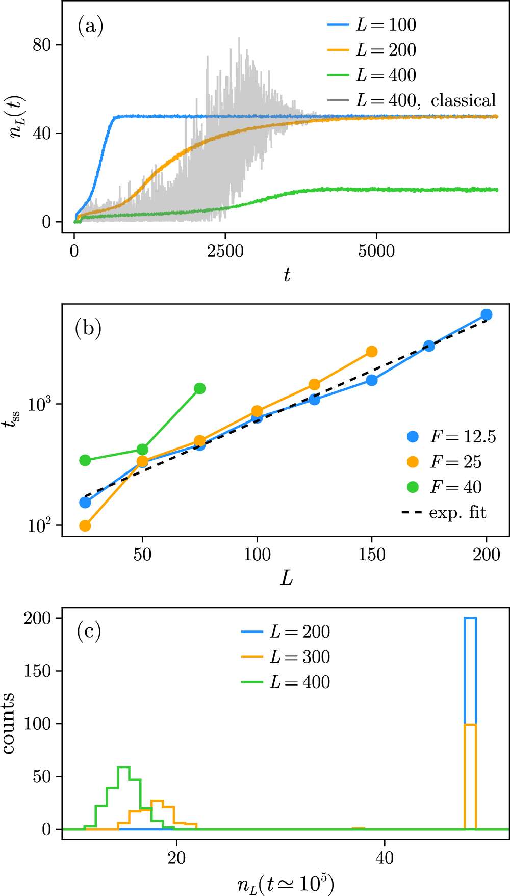 Fig. 7: RNW regime: destabilization by quantum fluctuations.