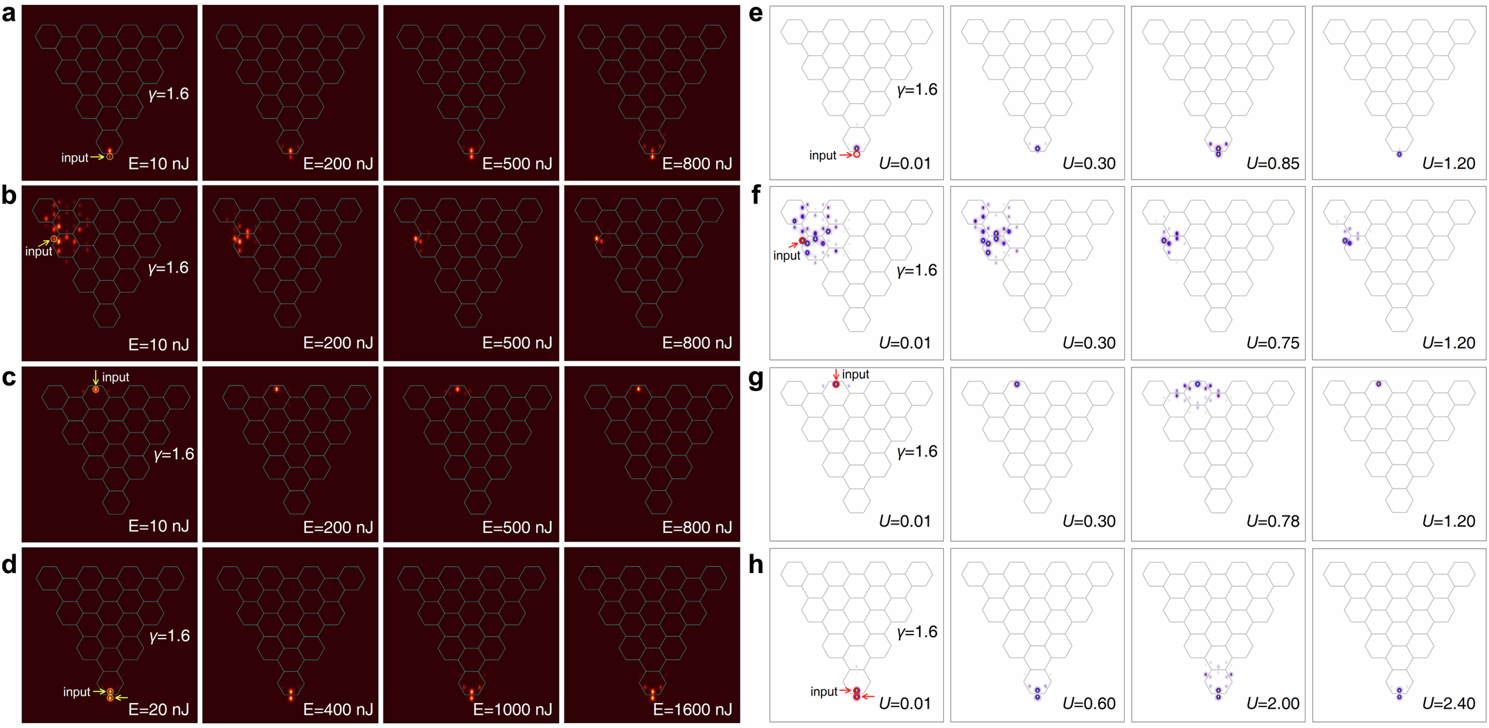 Fig. 6: Excitation of linear and non-linear states at dimerization parameter γ = 1.6.