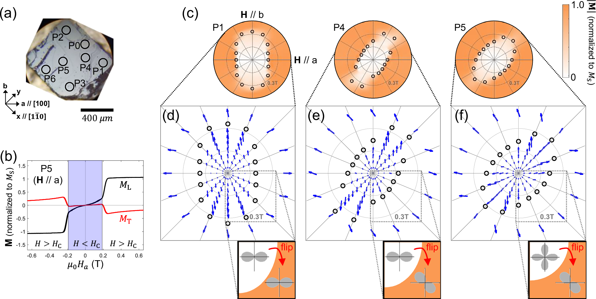 Fig. 2: Local magnetic behavior of undoped Sr2IrO4.