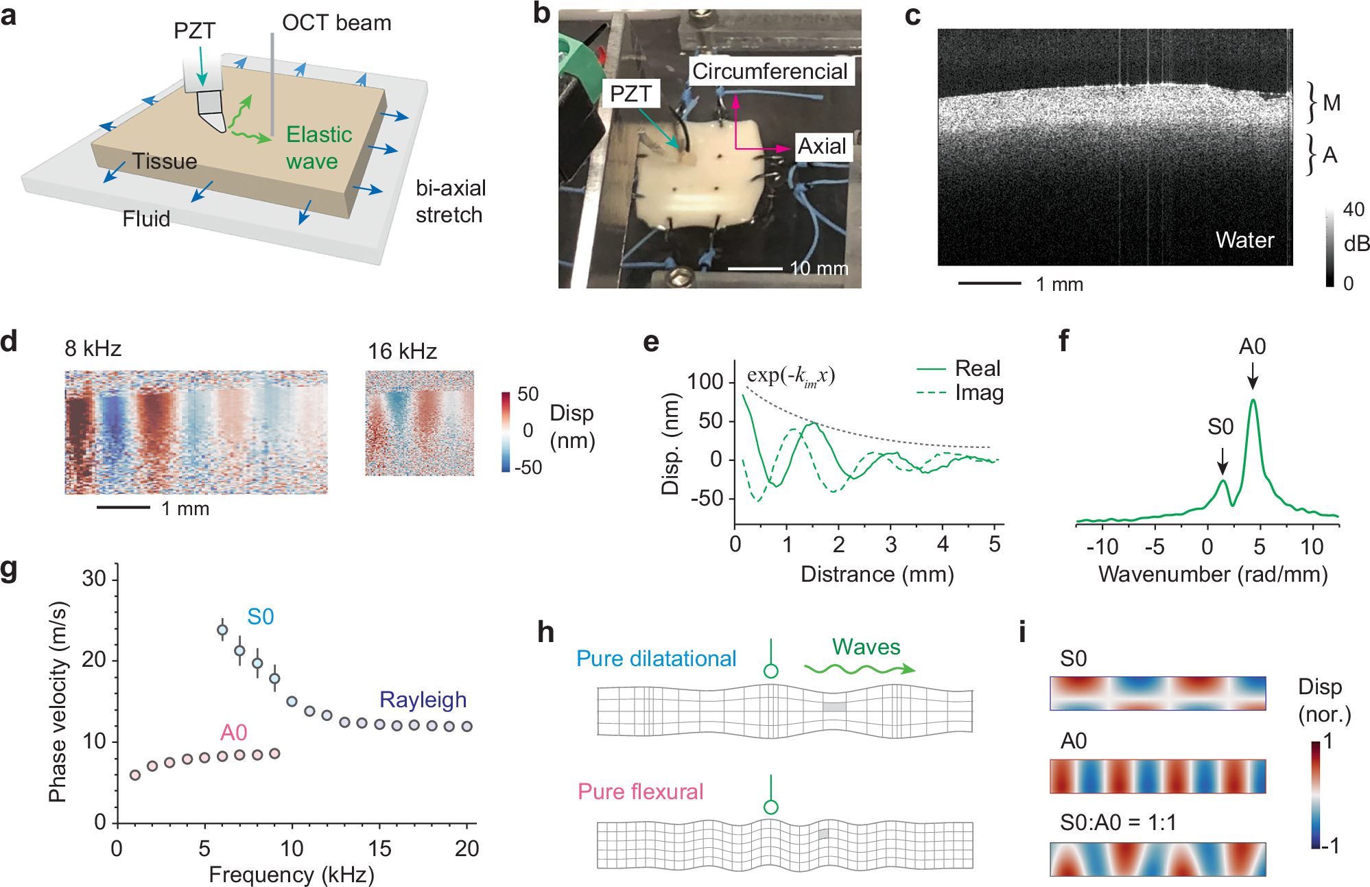 Fig. 1: S0- and A0-waves in the artery.