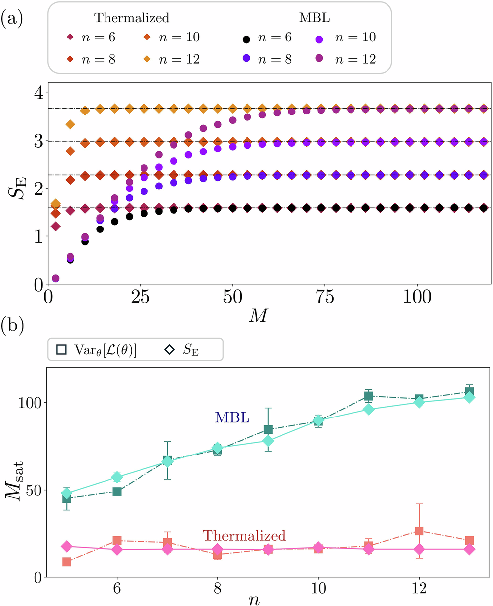 Fig. 5: Entanglement-trainability correspondence for thermalized and MBL initialization.