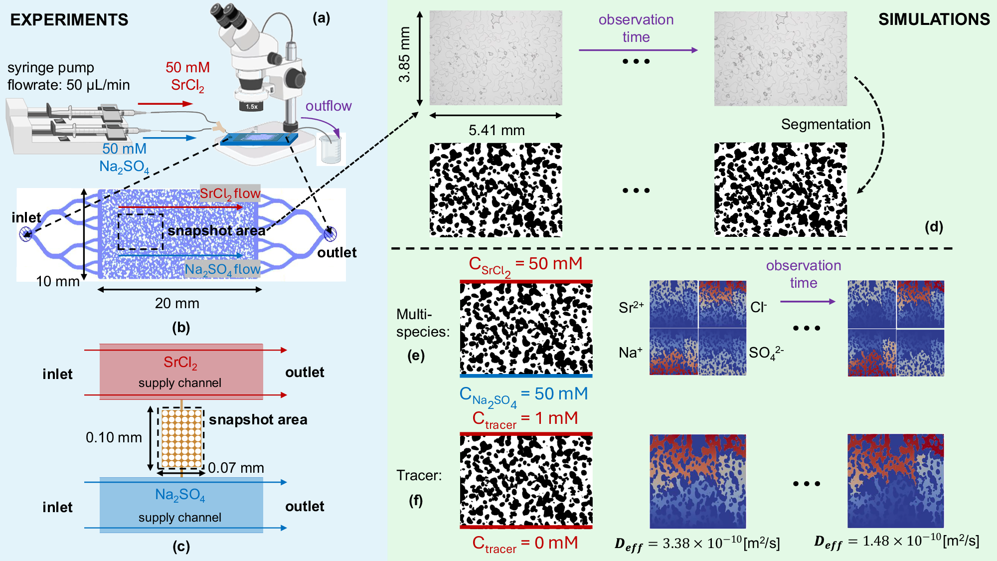 Fig. 7: Experimental and numerical simulation setup for capturing geometry changes in microfluidic devices due to transport and chemical reactions.