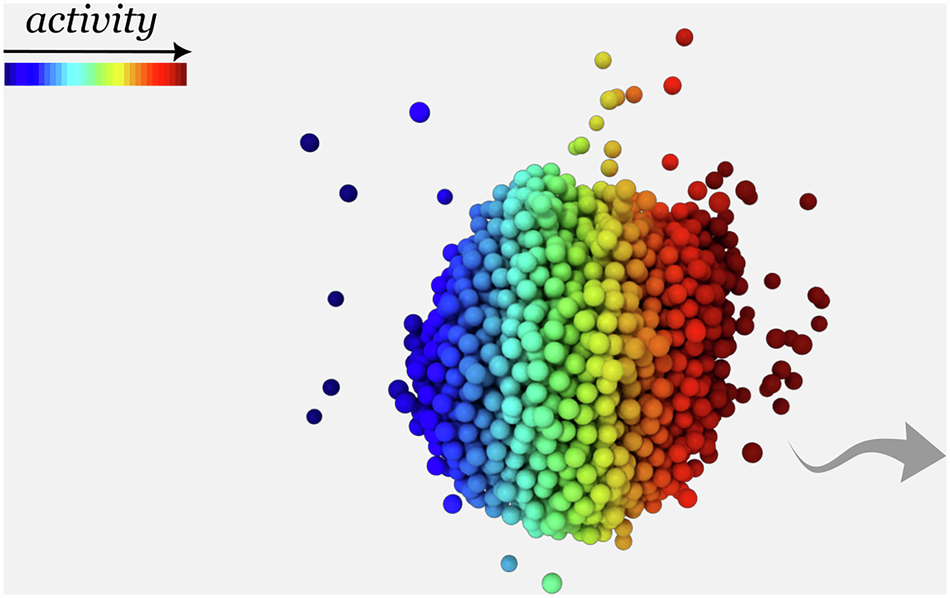 Self-organization and collective migration of active condensates