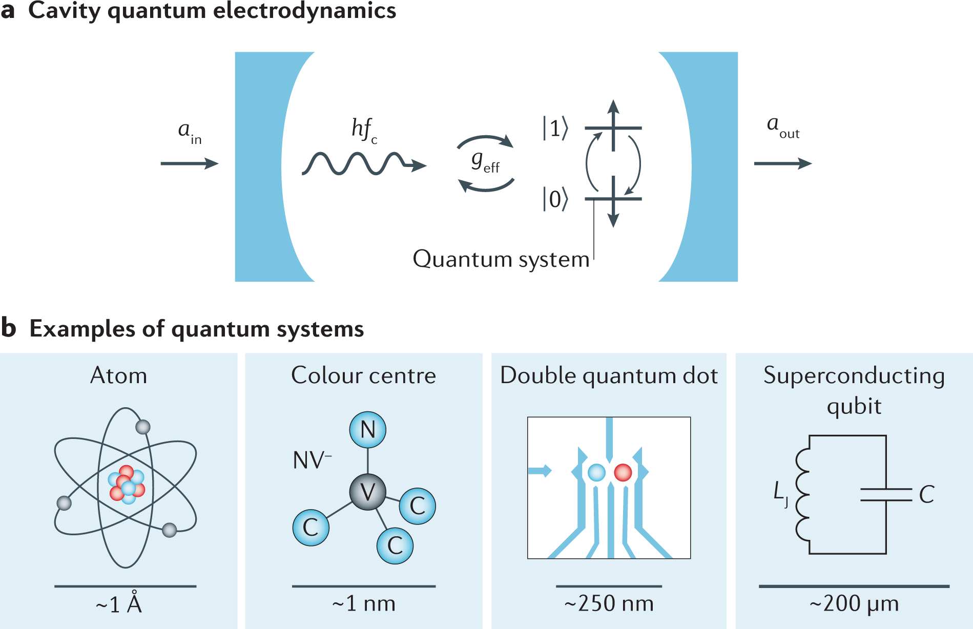 Manipulating the Quantum State of an Electrical Circuit