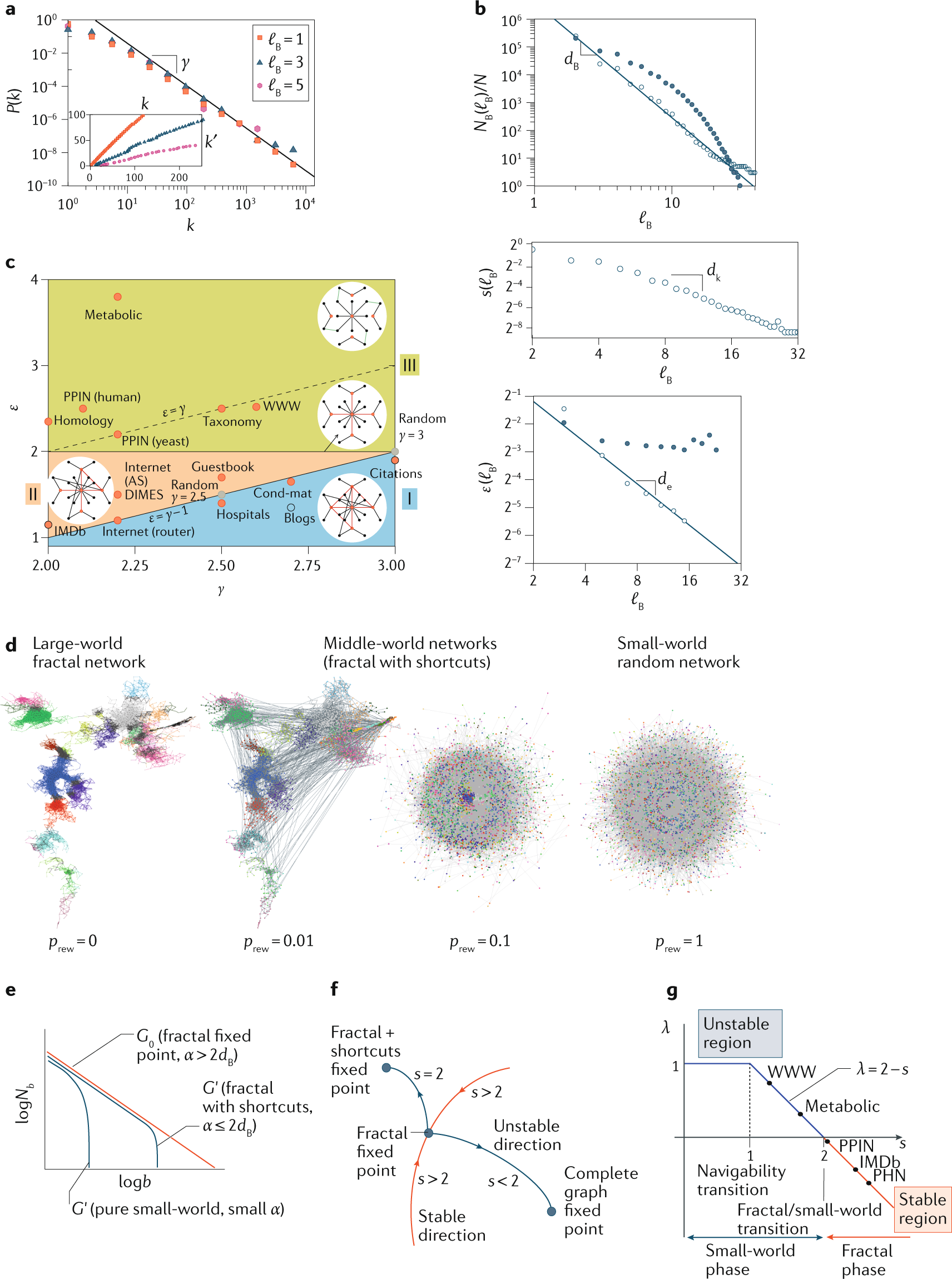Network geometry  Nature Reviews Physics