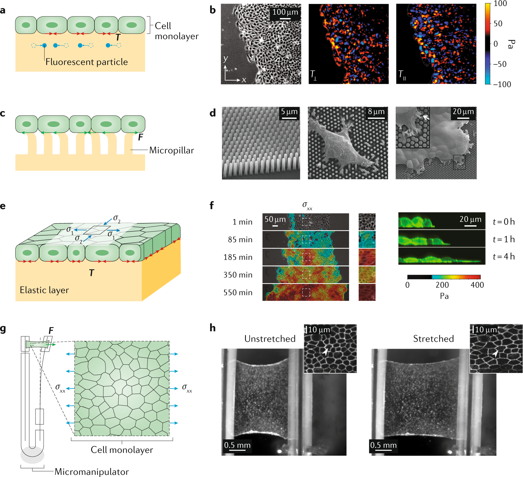 Map3D - 3D non-linear pillar response