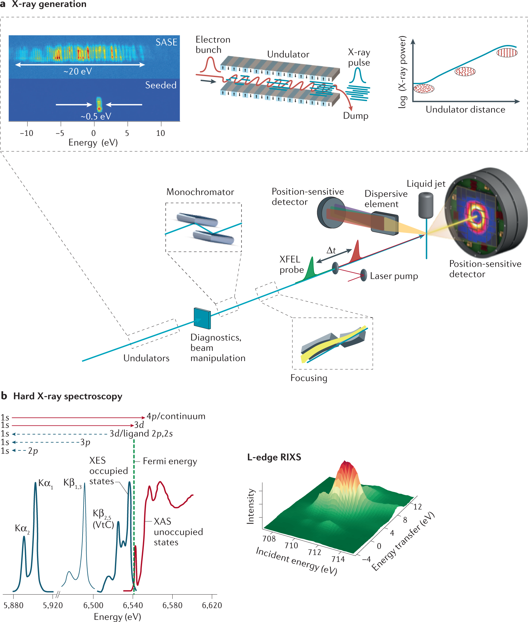 Using X-ray free-electron lasers for spectroscopy of molecular catalysts  and metalloenzymes | Nature Reviews Physics