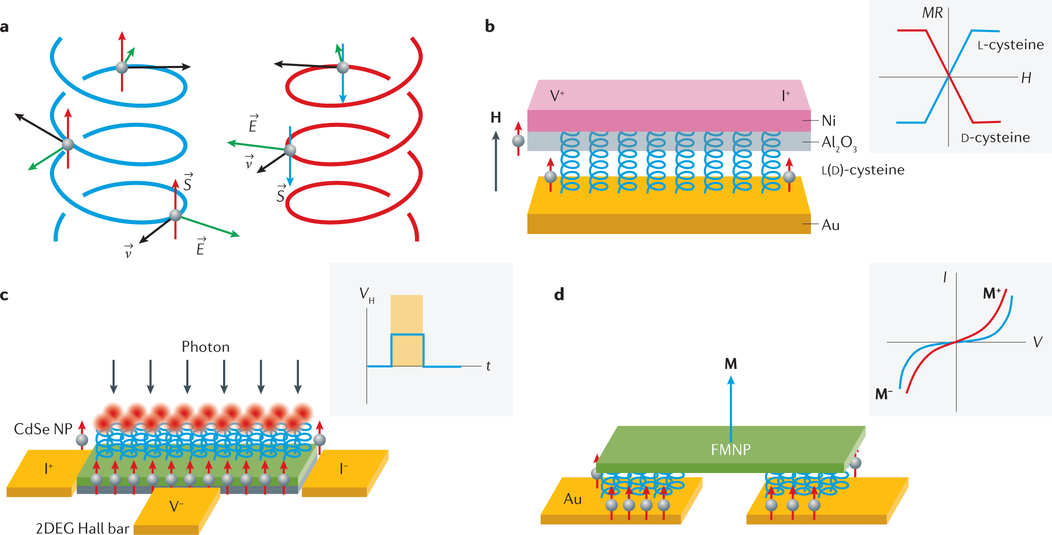 Chiral Stronics Nature Reviews Physics