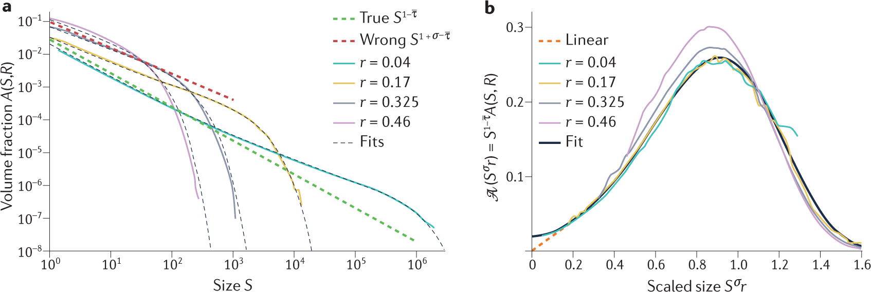 Physics - Power laws in chess