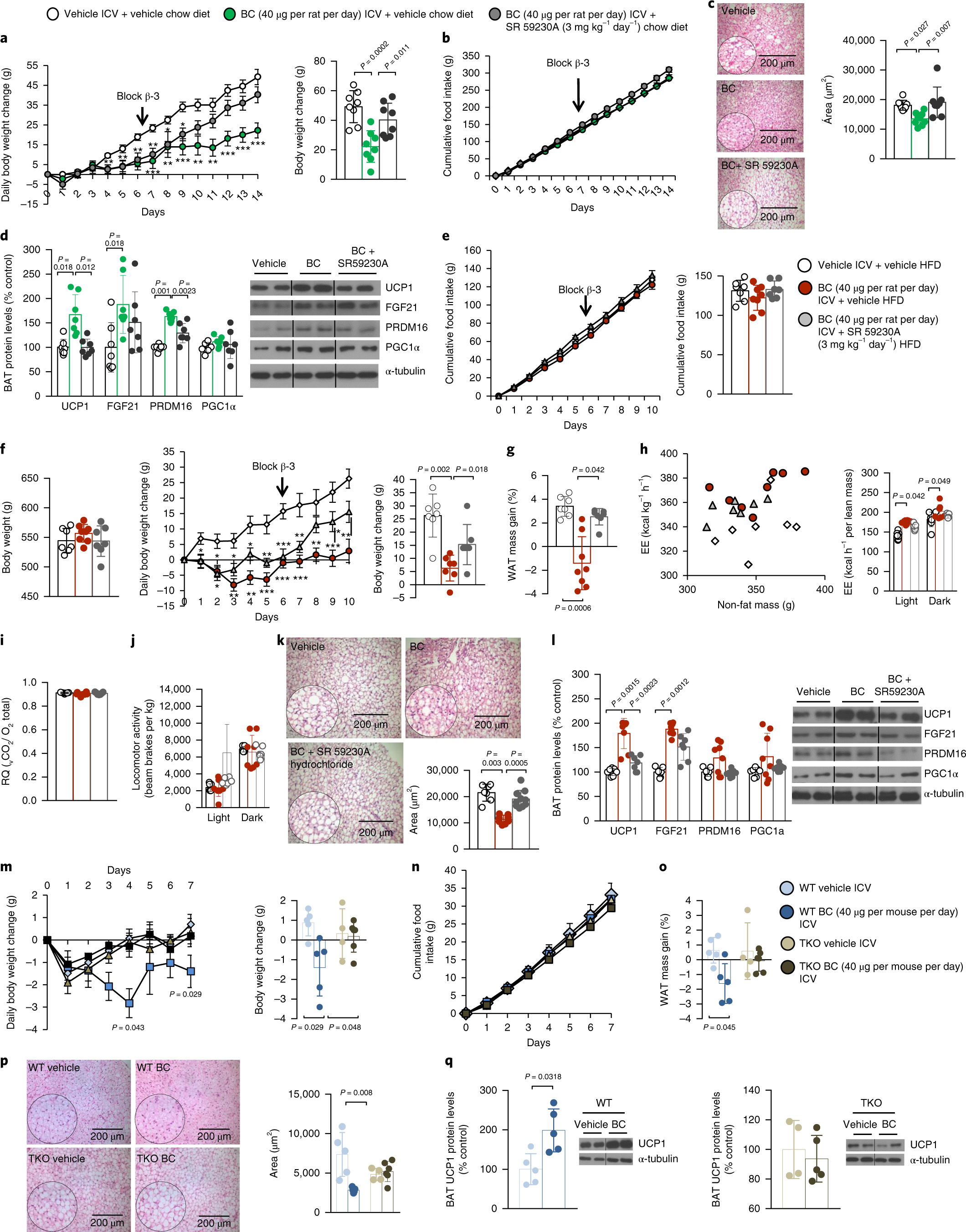 Dopamine Units Chart