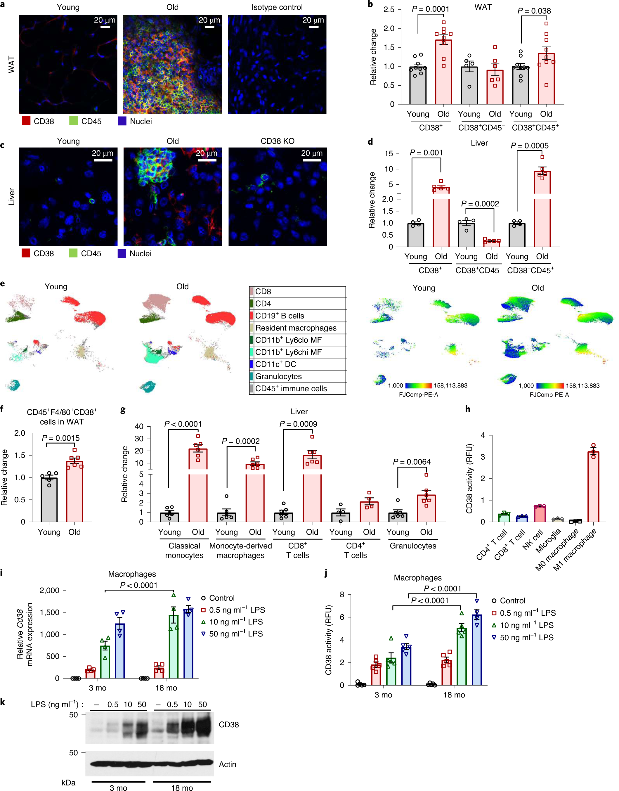 cd38 inhibitor and 5-amino-1mq synergy nad+ connects the heart brain CD38 ecto-enzyme in immune cells