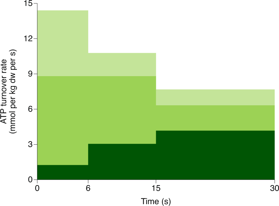 Skeletal muscle energy metabolism during exercise | Nature Metabolism