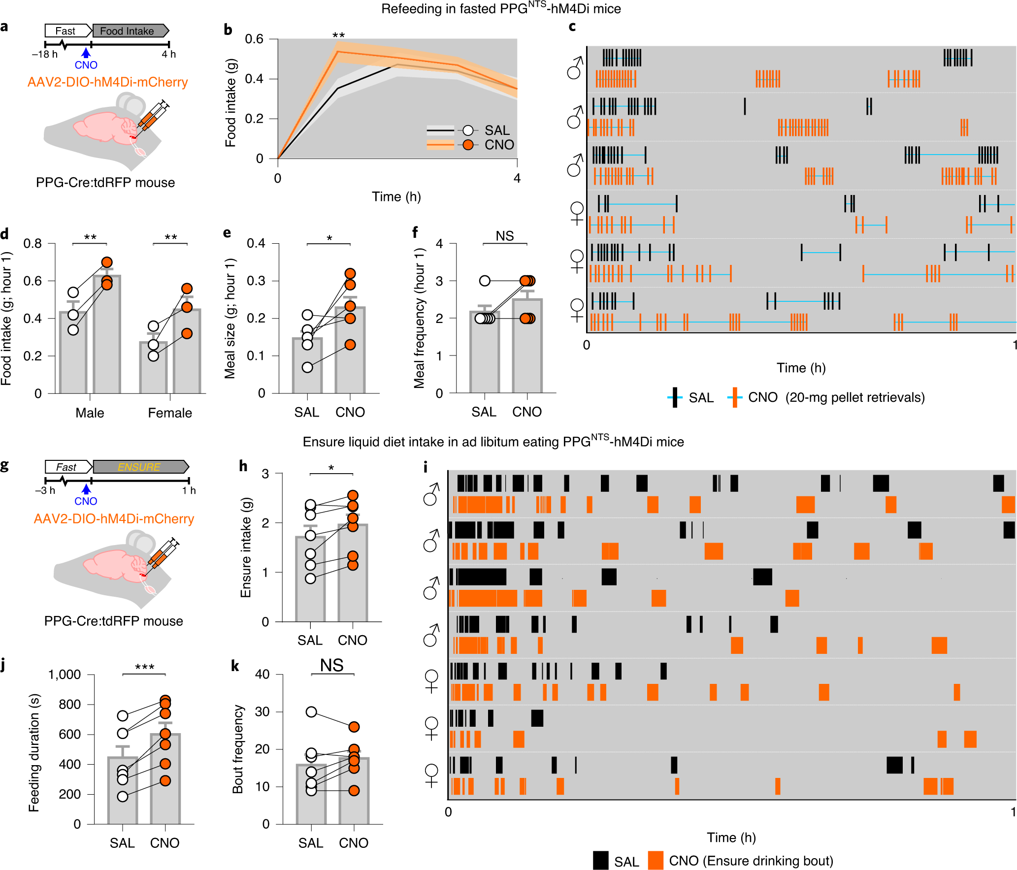 central and peripheral glp 1 systems independently suppress eating Central and peripheral GLP-1 systems independently suppress eating