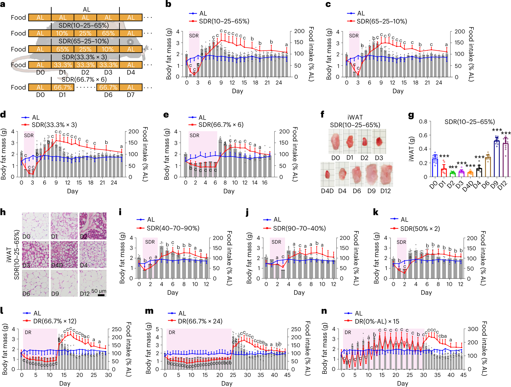 High-protein diet prevents fat mass increase after dieting by counteracting  Lactobacillus-enhanced lipid absorption | Nature Metabolism