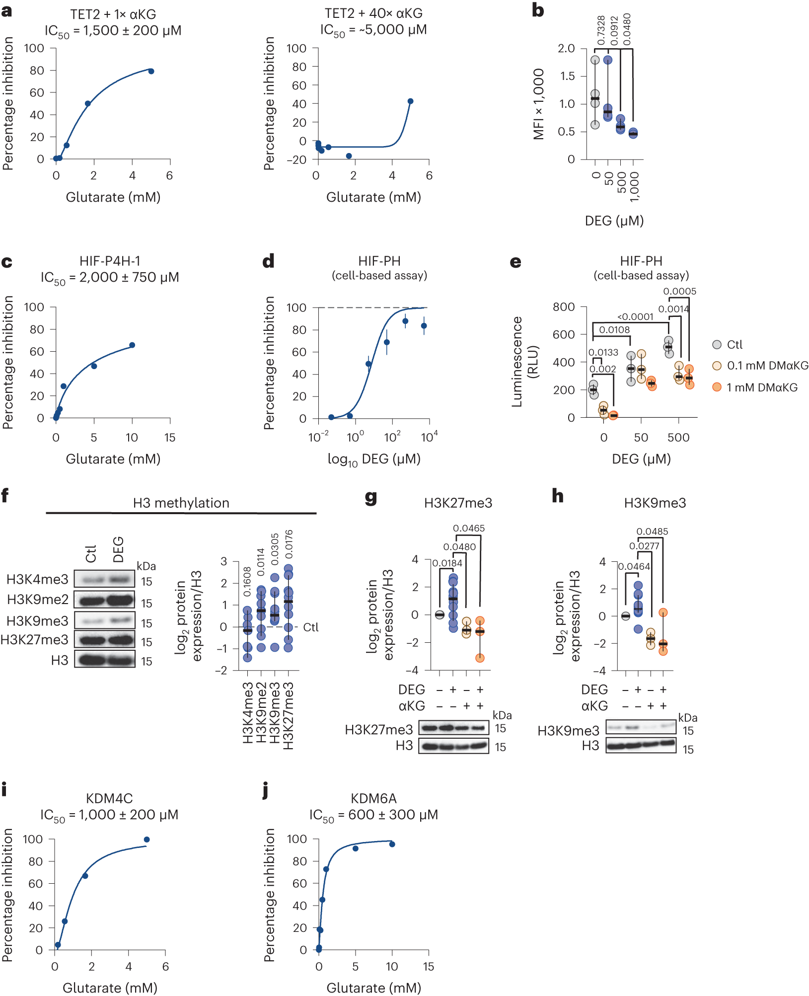 Fig. 2: Glutarate is an inhibitor of αKG-dependent reactions.