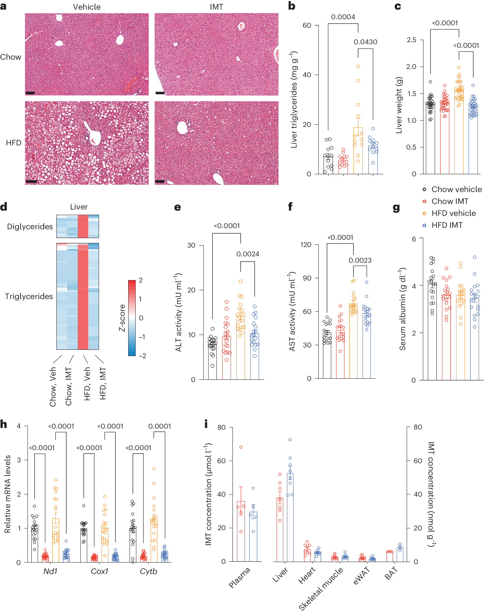 Fig. 2: IMT treatment reverses hepatosteatosis.