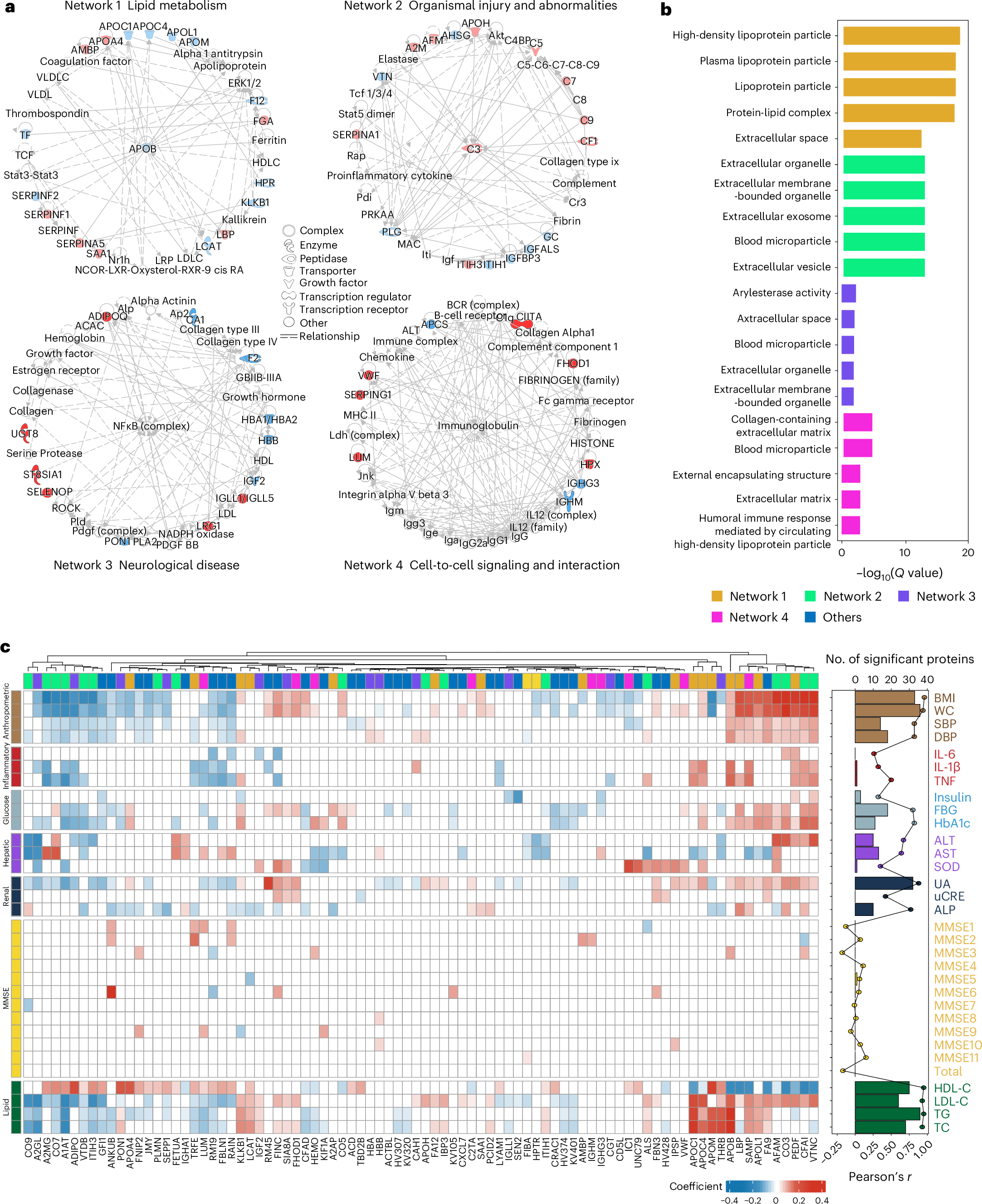 Fig. 4: Functional networks of ageing-related proteins and their longitudinal associations with clinical traits.