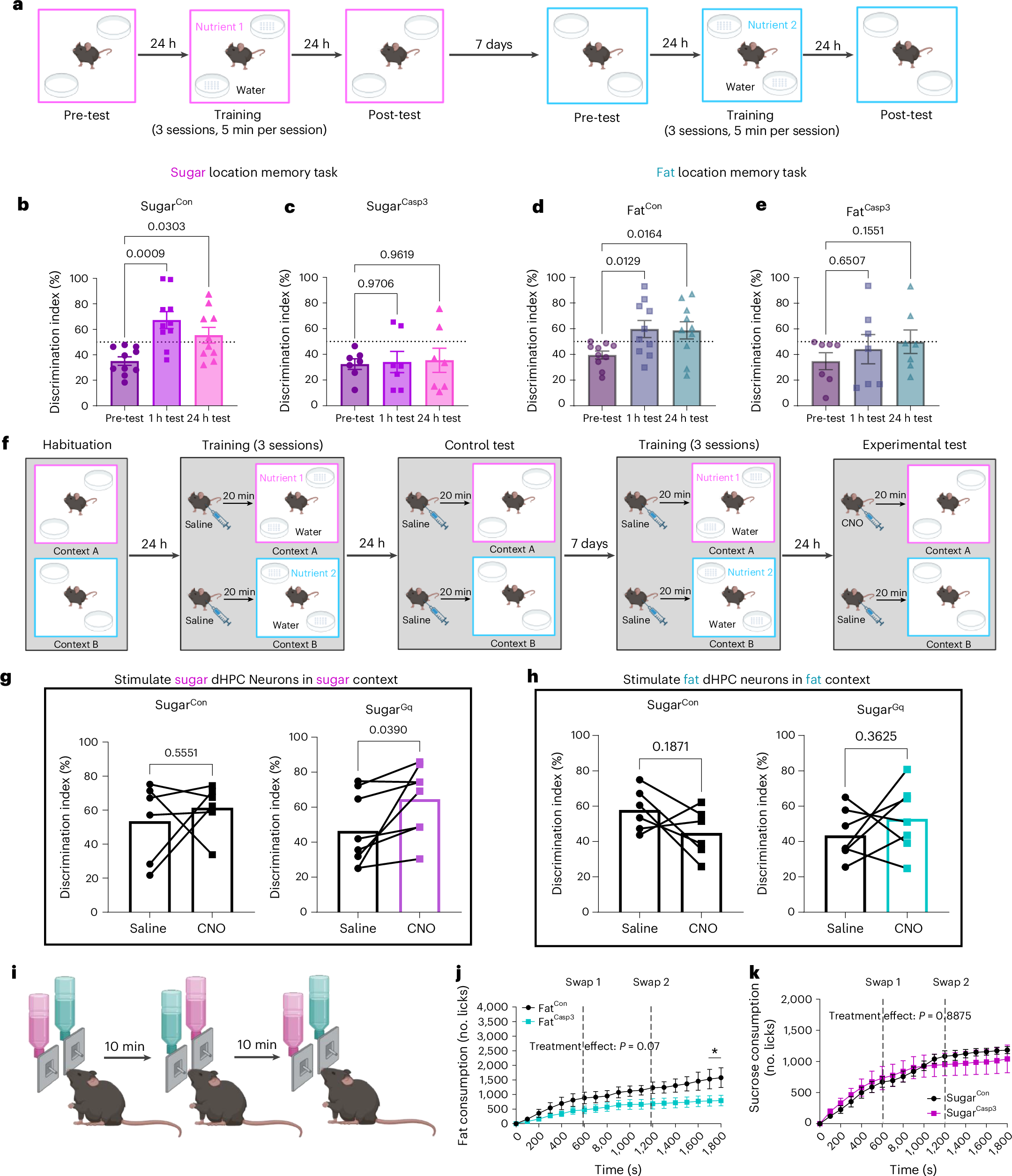 Fig. 4: Fat- and sugar-responsive dHPC neurons control nutrient-specific episodic spatial memory.