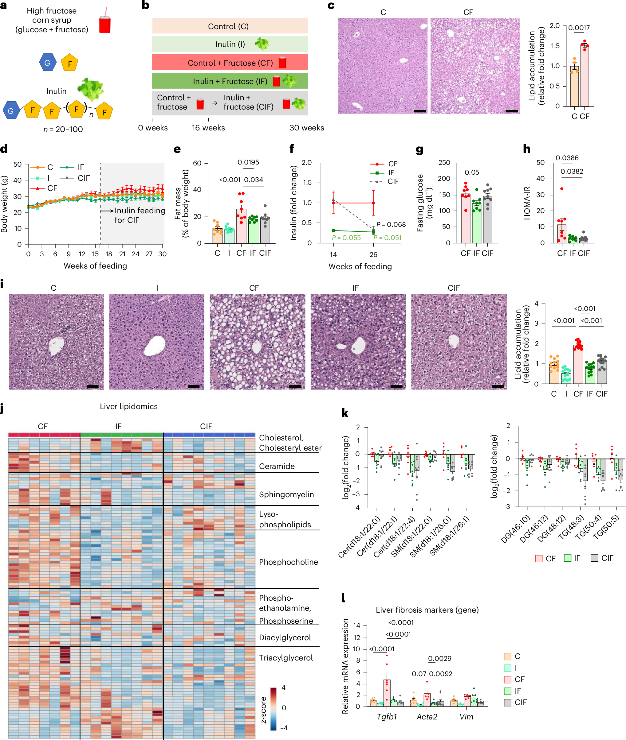 Detailed research findings presented visually