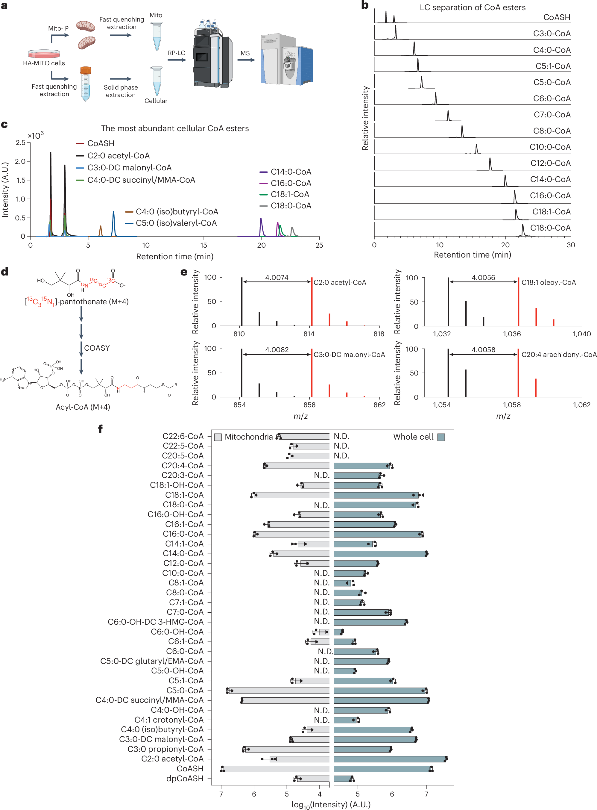 Fig. 1: An optimized LC–MS-based cellular and mitochondrial acyl-CoA profiling workflow.