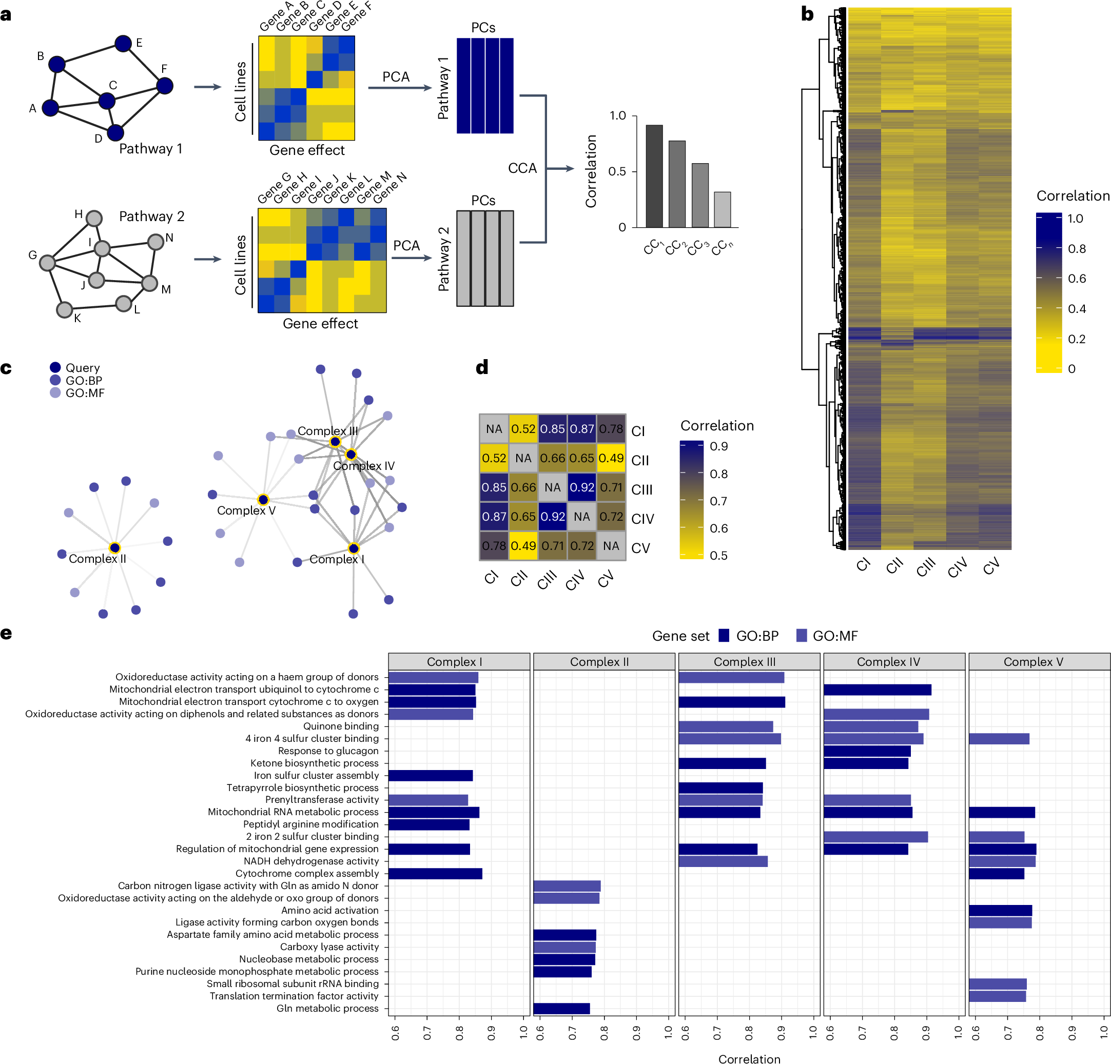 Fig. 1: Pathway coessentiality mapping reveals a unique association between complex II and nucleotides.
