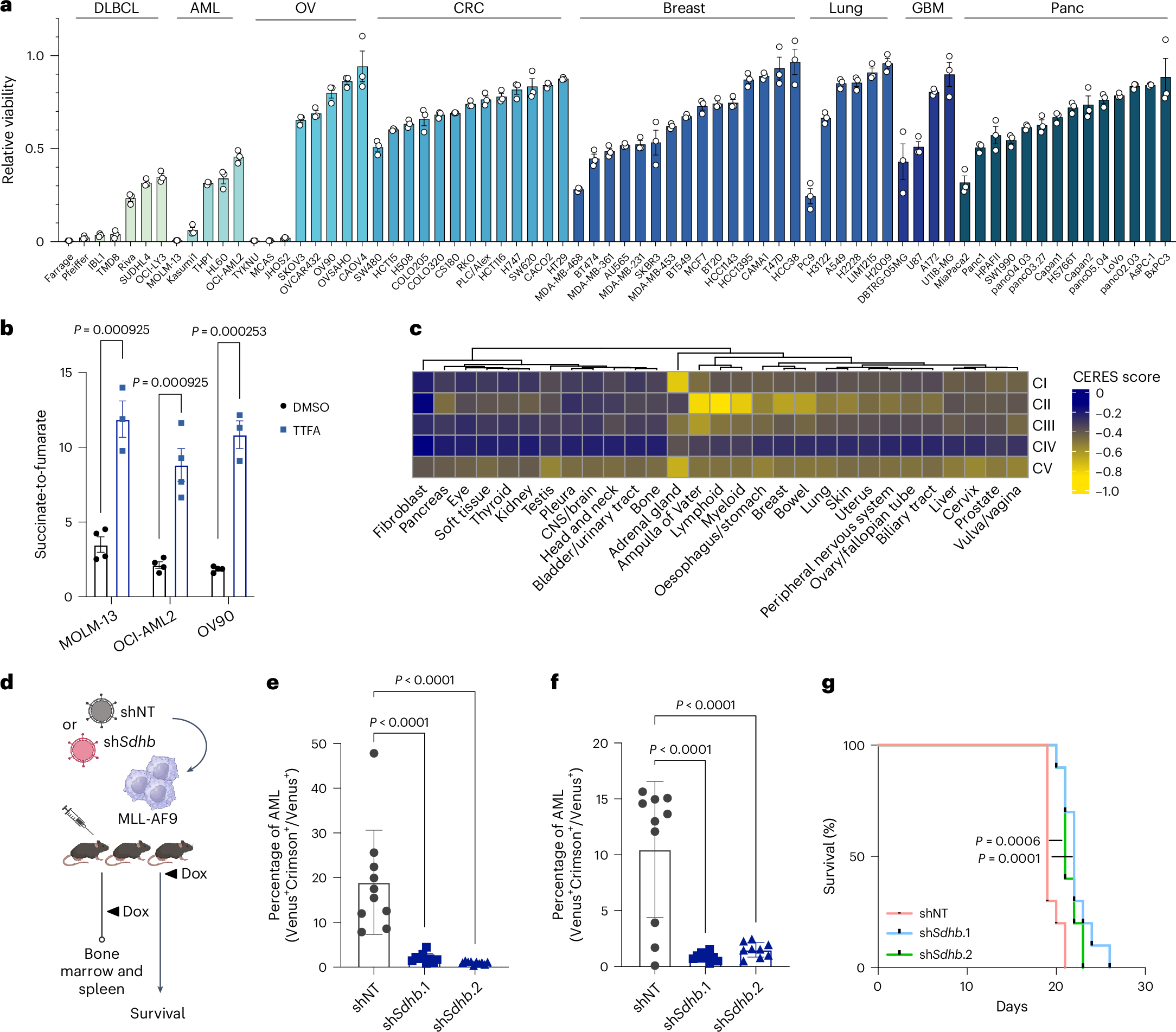 Fig. 2: Complex II is essential for AML.