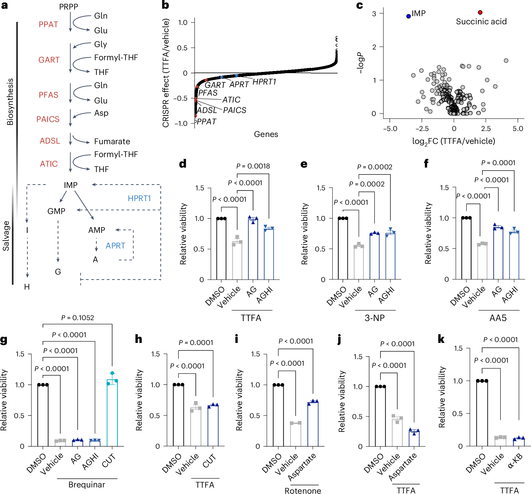 Fig. 3: Complex II regulates purine levels to maintain AML survival.